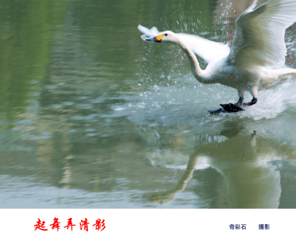 起舞弄清影